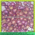 2-3cm China red onion,small onion